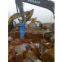 Supply BLT60 Silenced Hydraulic Breaker suitable for 11-16 ton at the resonable price