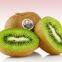 fresh fruits import agent|customes clearance servive