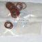 Diesel engine parts NTA855 Injector O ring 193736