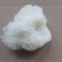 Wholesale Price Natural White Wool Soft Lambs Wool Fiber 30-40mm for Carpet