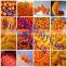 kurkure niknaks cheetos making extruder machine Corn Curls snack producton Line