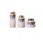 Chinese Light Luxury Simple Elegant Purple White Gold Ceramic Vase For Shopping Mall