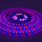 60 LEDs Side Emitting 020 RGB ws2811 addressable rgb led strip