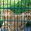 Double Wire Mesh Fence on Sale for School and Garden