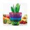 Hot Selling 10 in 1 Salad Tools Fruit Plant Slicer Cutter