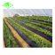 Agriculture and gardening use plastic black mulch film