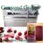 China Fruit Roll Up Machine