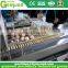 Brand new automatic egg sorting machine
