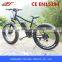 FJ-TDE07, Selfdesign hummer electric bikes for sale 500 watts