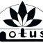 Qingdao Lotus International Trading Co.,ltd