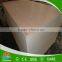AAA Poplar Commercial Plywood