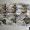 High quality Patched Fox Fur Plates for home decoration