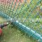 Starred Stainless Steel/PVC Coated Chink Link Fence