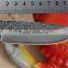 Custom Made Damascus Steel hunting Knife FLDL-WG0015