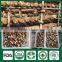 Frozen Food Competitive Price of Mushroom Log Spawn Cultivation for Mushroom Farm Garden Restaurant