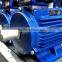 AC Three Phase ELECTRIC Motor/Induction Motor/Y Y2 Series Motor 0.5KW TO 200KW