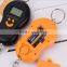 Color optional portable scale digital display small size
