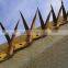 Galvanized and pvc coated wall Spikes from  Suppliers