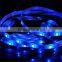 Blue LED Strips 24v smd 5050 7.2W M thin LED flex strip lights for sign