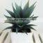 High quality best price artificial succulent plant for decoration