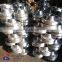 Flange stainless steel, Valves and flange, fitting stainless steel