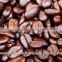 Roasted Coffee Bean Like Light- Dark-Medium Roasted