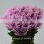Single Stem Chrysanthemum Flower Cheap With 10 Stems/Bundle Mini Real Touch Big-Chrysanthemum Flower With 0.5kg/Bundle Chrysanth