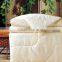 Luxurious Printed Mulberry Silk Quilt