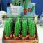 high quality creative design green cactus shape soft pvc cactus pen magnet