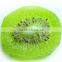 We are supply dried kiwi with high quality