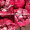 Chinese Fresh red round onions 7-9CM 9-11CM for sale