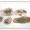 magent marine life fossil wall decor 3d rock effect wall decoration