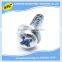 Manufacturer Nonstandard Stainless Steel Phillips Screw With OEM Service