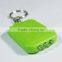 3 LED Solar Panel Energy Flashlight / solar Lamp Keychain / mini led flashlight keychain