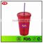 Personalized Plastic double wall tumbler with straw bpa free 16 ounce