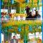 New products amusement park kids ride indoor music electric carousel honey tree for sale