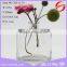 Cube 120ml280ml clear glass bottle aroma reed diffuser glass bottle with cork