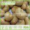 Wholesale Healthy Snacks Wasabi coated Cashew Nuts With BRC certificates, Roasted Wasabi Cashew Nuts