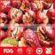fresh Dried red Chinese dates/jujube with Walnuts kernels
