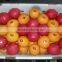 Fresh Navel orange High Quality
