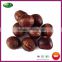 Organic Good CHINA Frozen Roasted Ringent Chestnut