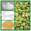 Supply high quality and Free Sample Green Coffee Bean Extract Powder
