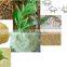 guar gum