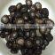 vacuum packed shiitake mushrooms china hot sale mushroom rare edible mushroom