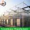 High Quality Cheap Toughened Glass Greenhouses For Sale