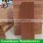 High quality greenhouse/poultry ventilation fan