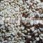 2016 new crop blanched peanut kernel 25/29