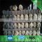 Hot dipped galvanized Chain link fence for garden fence