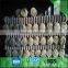 Hot dipped galvanized Chain link fence for garden fence