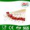 dried fresh fruit stick